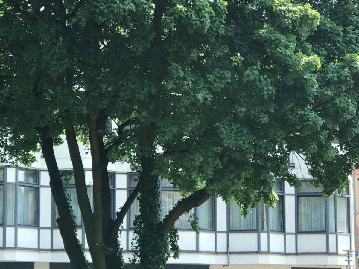 Gaestezimmer Klein Und Fein Fuer Nach Dem Wein Neumagen-Dhron Exterior photo